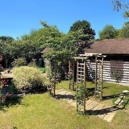 The Tool Shed Nestled In Idyllic Countryside Villa Linchmere ภายนอก รูปภาพ