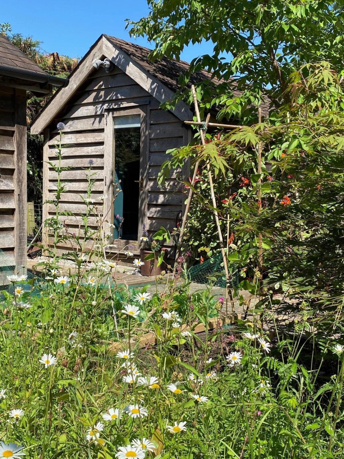 The Tool Shed Nestled In Idyllic Countryside Villa Linchmere ภายนอก รูปภาพ