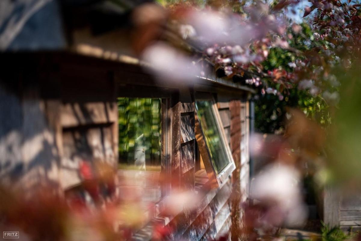 The Tool Shed Nestled In Idyllic Countryside Villa Linchmere ภายนอก รูปภาพ
