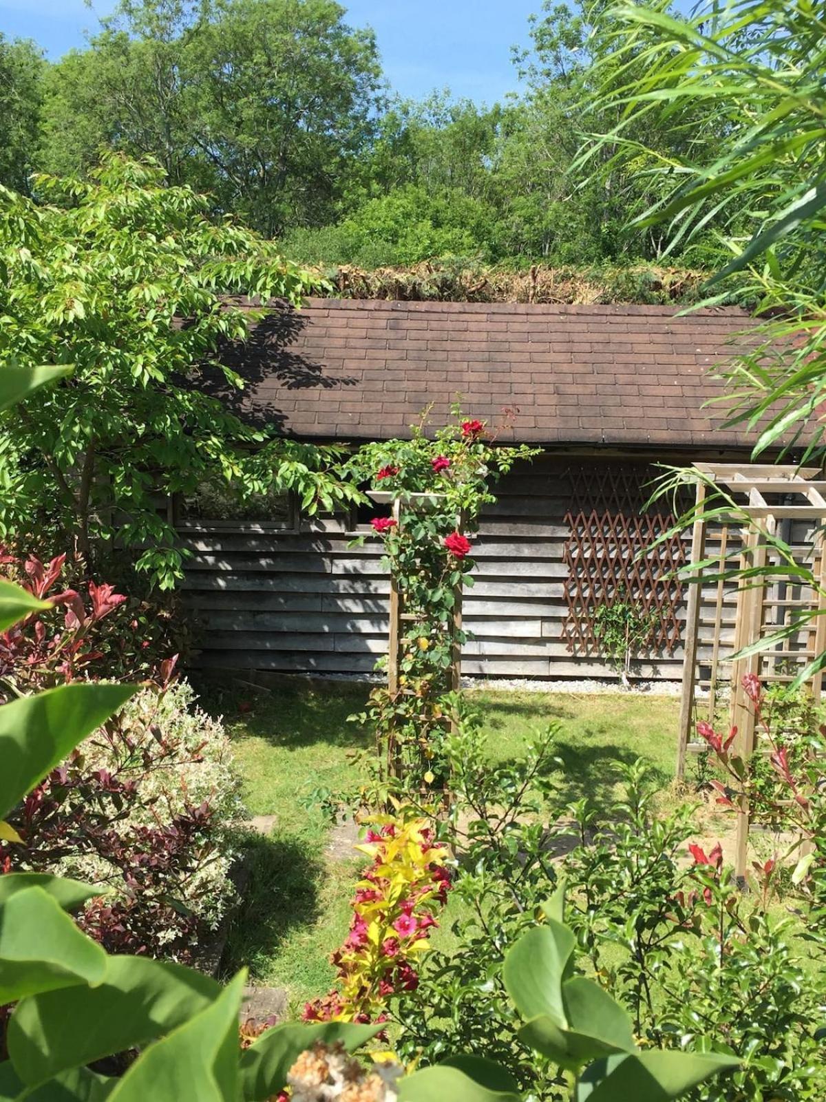 The Tool Shed Nestled In Idyllic Countryside Villa Linchmere ภายนอก รูปภาพ